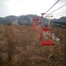 알프스비디오 이미지