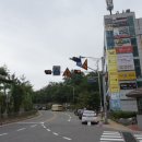 롯데캐슬아파트 101동 앞 횡단보도 이미지
