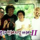 곤충하모니