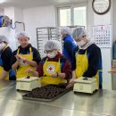 충주예성여자고등학교 이미지