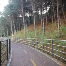 스카이스포츠타운 이미지