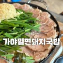 제주여행가야밀면 | [제주 제주시 맛집] 가야밀면돼지국밥 | 부들부들 끝판왕 수육에 반하고 온 '가야밀면돼지국밥' 맛집 후기