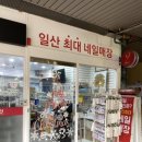네일9단