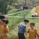 신동목장 이미지