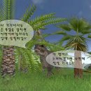 아이알씨