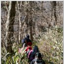 아랫도리 이미지