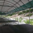 성주로50 캠프앤펜션 이미지