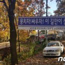 강남1번지