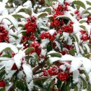 세화2리마을회관 이미지