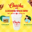 차차커피 이미지