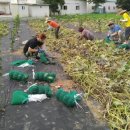 골말농장 이미지