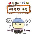 둥이 이미지