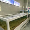 백김치새싹막회본점 이미지