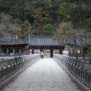 쌍용그린정비 | [설악산_단풍] 백담사~영시암~수렴동대피소~쌍룡폭포~해탈고개~봉정암(원점회귀)