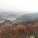 양림농장 이미지