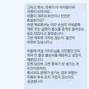 포시즌에이스투어