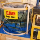 89수산 이미지