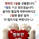 상록수농장 네이버블로그