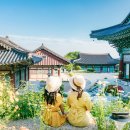 팔공산올레길 5코스 이미지