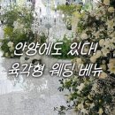 평촌 이마트 뒤 | 더파티움 안양 견적 공유 27년, 주차 식사 완벽한 육각형 웨딩 베뉴! 라포레홀 브리에홀