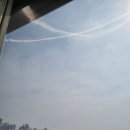 송림로 5 | [방충망업체]거실 창문 벌레 걱정 끝! 미세촘촘망 시공 후기 👍 feat. 방충망업체 더촘촘한방충망인천점