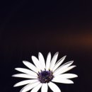 갤럭시PC 이미지