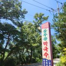 동루골막국수 - 고성군 버리깨길 22 | (고성) 막국수 맛집 추천｜푸짐한 수육과 막국수가 맛있는 동루골막국수 내돈내산 후기😋