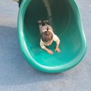 대월놀이공원 이미지