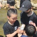 용인대 헬리오 태권도장 이미지