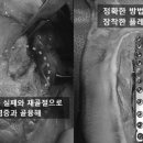 프라임동물병원 이미지