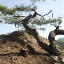 봉의농장 이미지