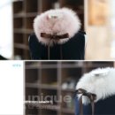 여우멋내기 이미지