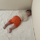 8개월 아기 근황 | 여전히 독박육아… 토리 아기띠 매고 잠든 틈에 끄덕이는 일상 블로그