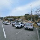 모다페카페 | 창녕 모다페와 명덕지.
