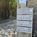 비밀의 정원 이미지