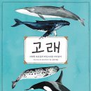 고래로L 이미지