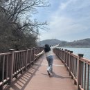 왕송못서길 | 경기도 의왕 왕송호수 벚꽃 만개한 레일바이크 탑승 스토리