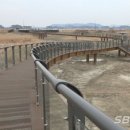 뉴스서천