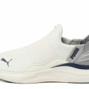 레오소프트 이미지