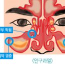 봄날한의원 이미지