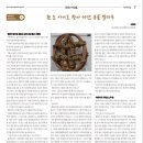정선이야기 Daum카페