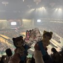 디아투 | 킹앤프린스 King&Prince DOME TOUR 2026 STARRING 나고야 반테린돔 투어 참전 후기(260329)
