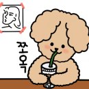 셀비오원주점 네이버블로그