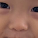 옷태하