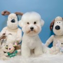 반야시스터 이미지