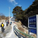 대관령두메길 티스토리