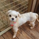 군산시-01036 이미지