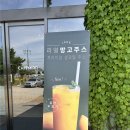1419 | 대전 근교 아이랑 가기 좋은 크로플 맛집, 공주 카페 미르 내돈내산 후기