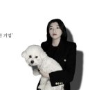 아이앤유컴퍼니온