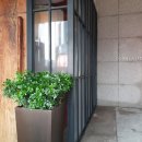 하이야트호프 이미지